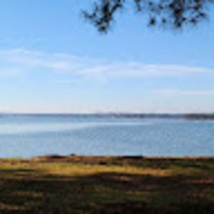 Meet your Posher, Larry